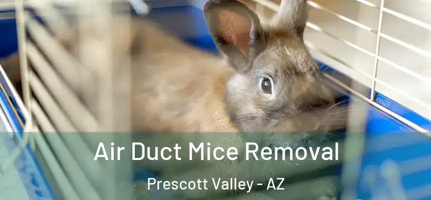  Air Duct Mice Removal Prescott Valley - AZ