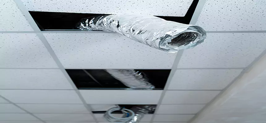 Affordable HVAC Sanitizing After Pest Removal in Prescott Valley