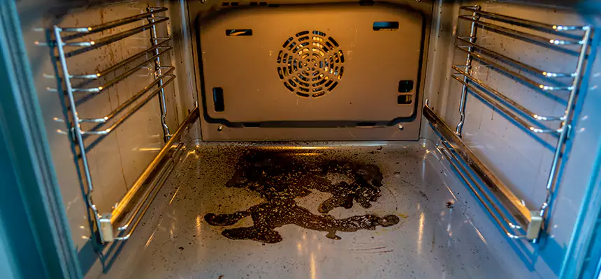 Our Dryer Vent Mold Cleaning Services in Prescott Valley, AZ