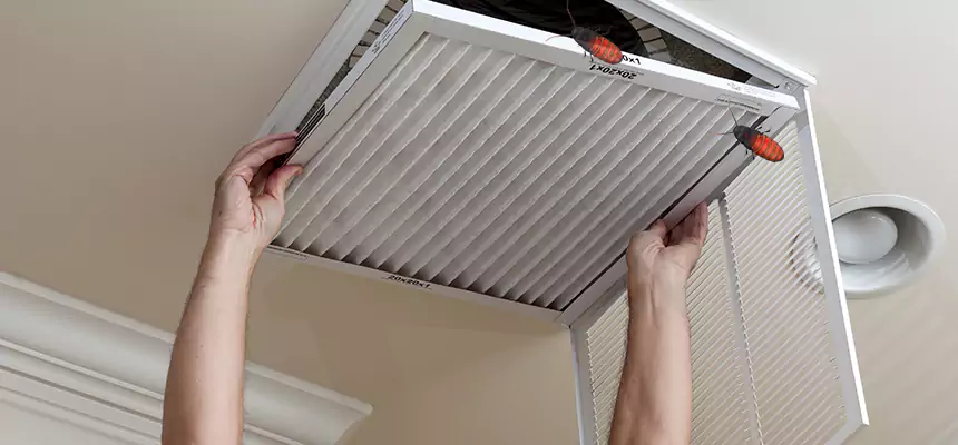 Our Insect Removal from Air Ducts Services in Prescott Valley, AZ
