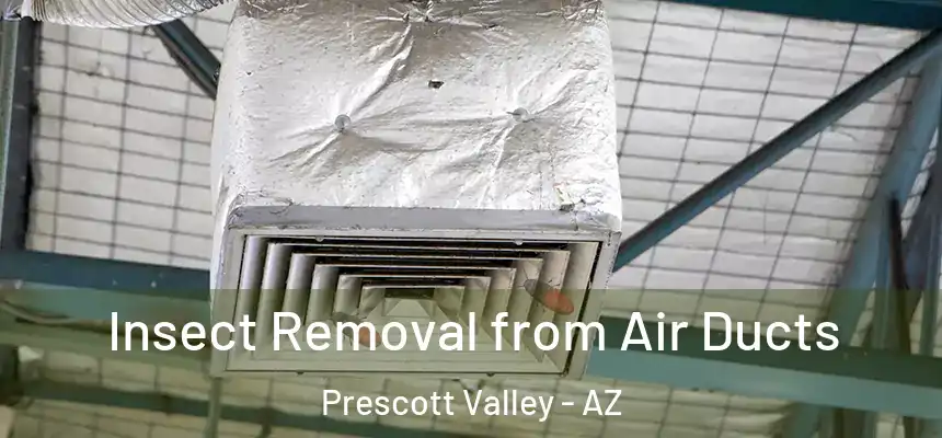  Insect Removal from Air Ducts Prescott Valley - AZ