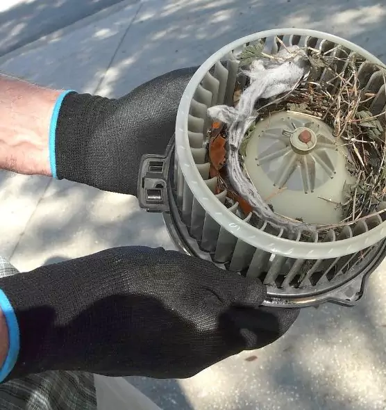 About Air Duct Mice Removal in Prescott Valley, AZ