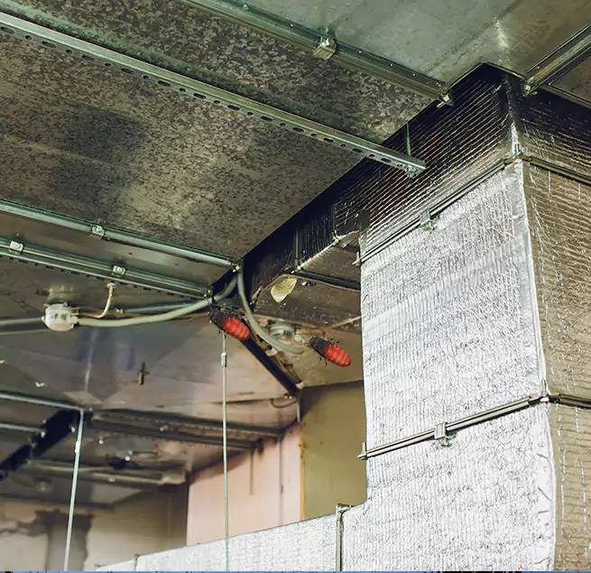 Why Homeowners & Businesses Trust Us in Prescott Valley, AZ?