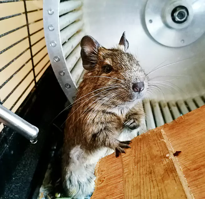 Why Homeowners & Businesses Trust Us Prescott Valley, AZ